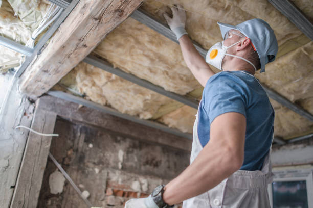 Best Energy Efficiency Insulation in Lely, FL