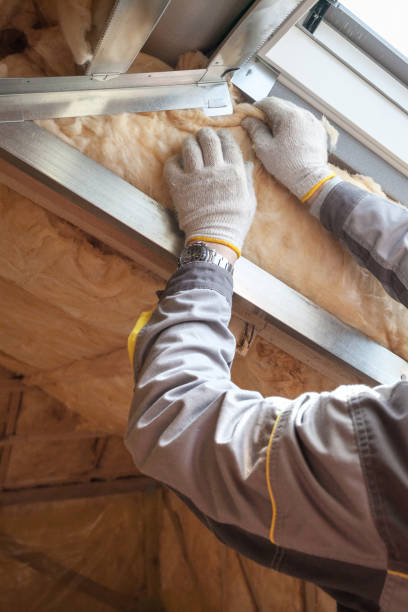 Best Residential Insulation in Lely, FL