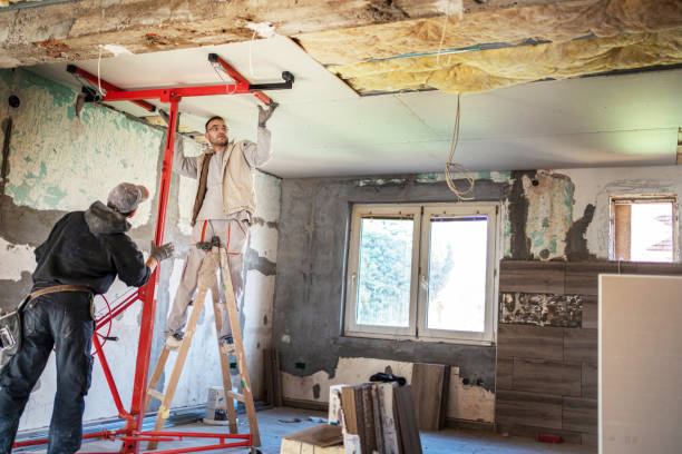 Best Insulation Maintenance and Repair in Lely, FL