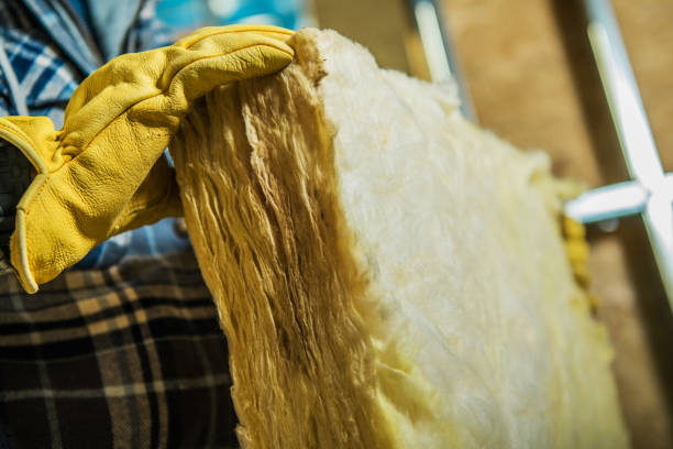 Types of Insulation We Offer in Lely, FL