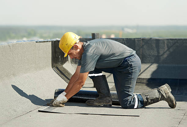 Best Specialized Insulation Services in Lely, FL