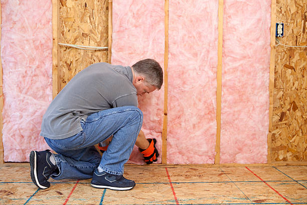 Best Eco-Friendly Insulation in Lely, FL