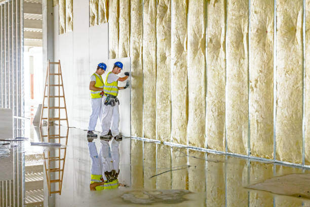 Best Specialized Insulation Services in Lely, FL